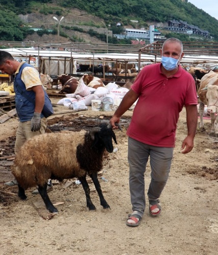 Trabzon'da kurban pazarında yoğunluk 11