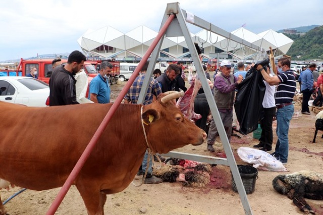 Trabzon'da kurban pazarında yoğunluk 10