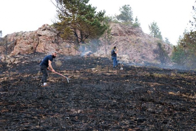 Doğu Karadeniz'de orman yangını 9
