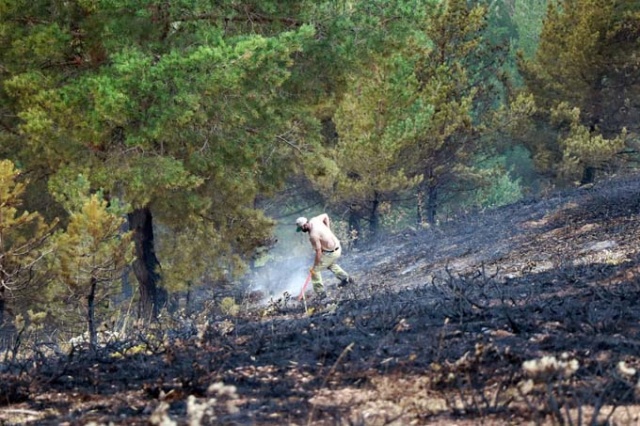 Doğu Karadeniz'de orman yangını 8