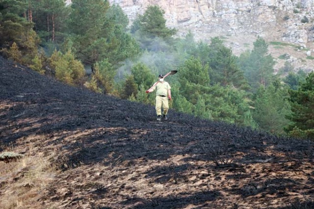 Doğu Karadeniz'de orman yangını 10