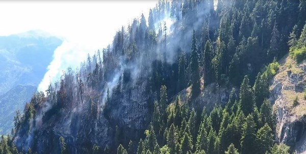 Artvin’deki orman yangını 3 gündür devam ediyor 3