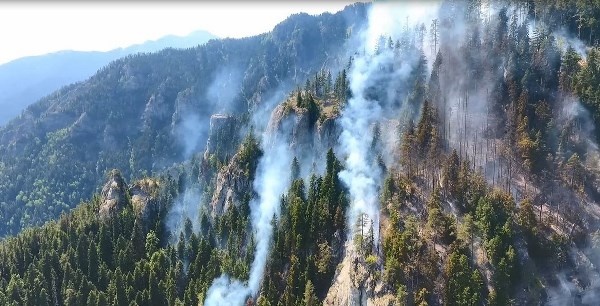 Artvin’deki orman yangını 3 gündür devam ediyor 4