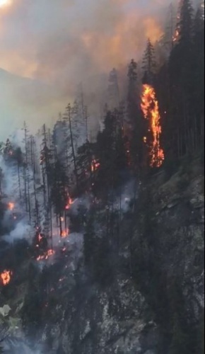 Artvin’deki orman yangını 3 gündür devam ediyor 2