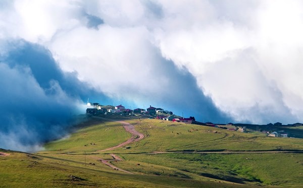 Trabzon'da Bulutların üzerindeki yayla, ziyaretçilerini cezbediyor 4