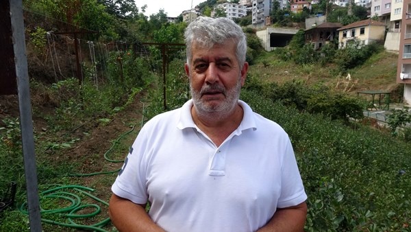 Trabzon'da yetiştirilen süper meyvede hasat zamanı 12