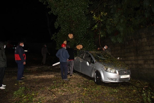 Rize’de 2 araç kökünden kopan ağacın altında kaldı 3