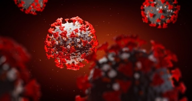 Koronavirüse karşı en şanslı kan grubu hangisi? 4