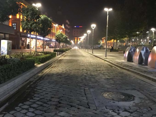 koronavirüsle  mücadele kapsamında Trabzon'da sokaklar boş kaldı. 2