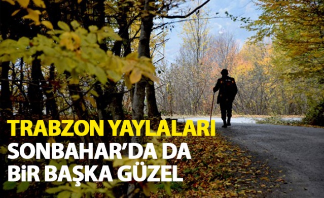 Trabzon Yaylaları Sonbahar'da da bir başka güzel 1