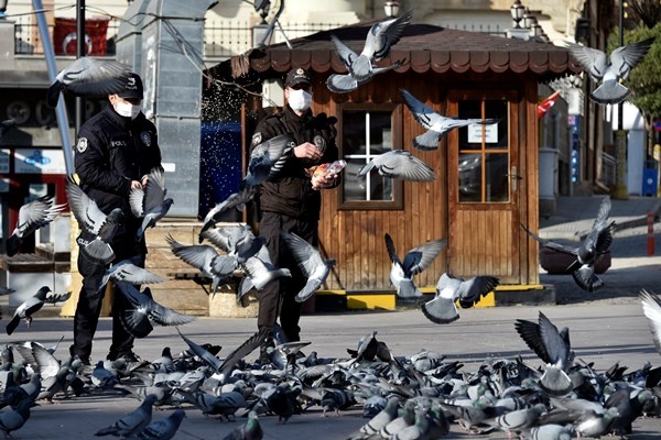Gümüşhane'de aç kalan güvercinlerin imdadına polisler yetişti 7