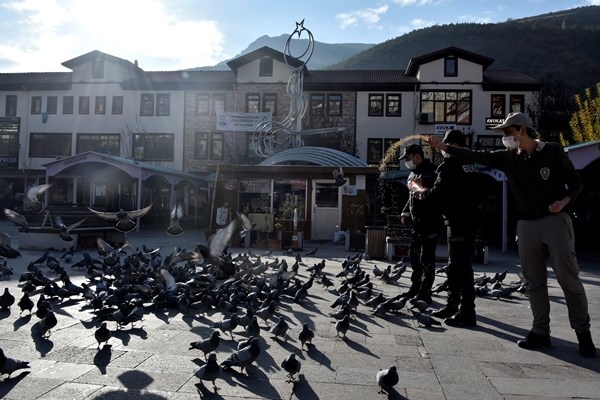 Gümüşhane'de aç kalan güvercinlerin imdadına polisler yetişti 15