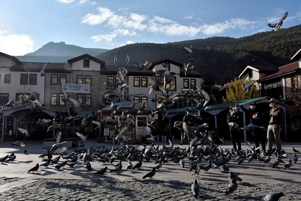 Gümüşhane'de aç kalan güvercinlerin imdadına polisler yetişti 10