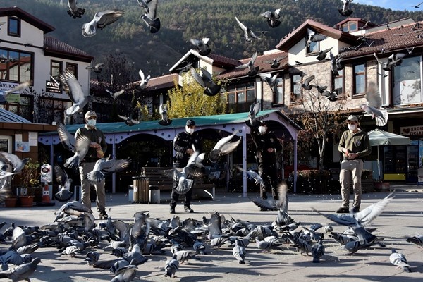 Gümüşhane'de aç kalan güvercinlerin imdadına polisler yetişti 5