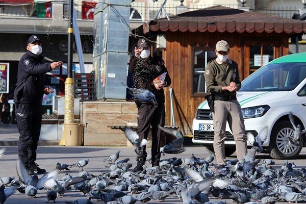 Gümüşhane'de aç kalan güvercinlerin imdadına polisler yetişti 9
