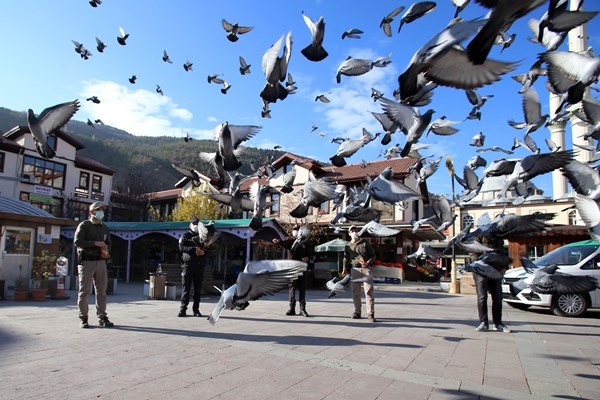 Gümüşhane'de aç kalan güvercinlerin imdadına polisler yetişti 6