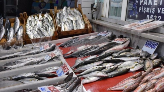Karadeniz'in en değerli balığı ağlara takıldı 6