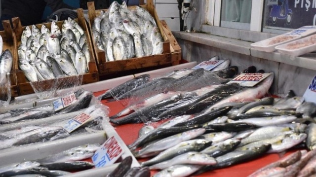 Karadeniz'in en değerli balığı ağlara takıldı 9