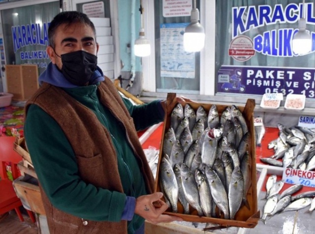 Karadeniz'in en değerli balığı ağlara takıldı 10