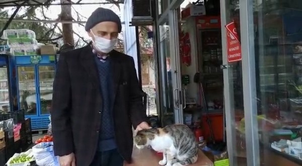 Trabzon'da bakkal 20 sokak hayvanına bakıyor 7