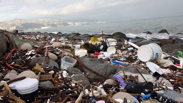 Trabzon'da denize atılanları dalgalar geri verdi 4