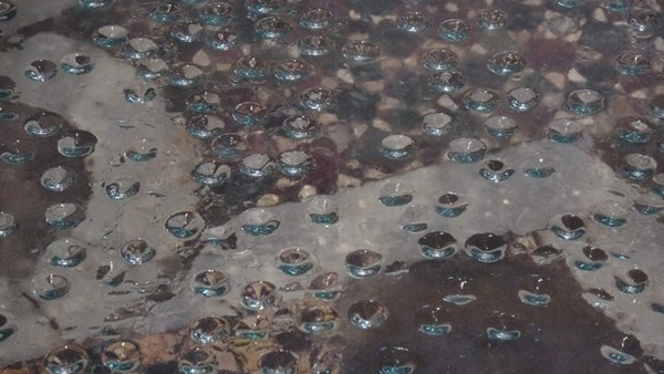 Ayasofya'da cam döşeme içine alınan mozaikler neredeyse gözükmüyor 3