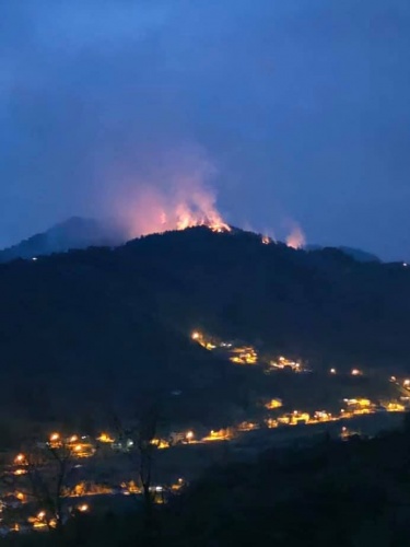 Doğu Karadeniz'de 4 ilde 23 noktada orman yangını 2