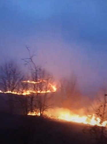 Doğu Karadeniz'de 4 ilde 23 noktada orman yangını 3