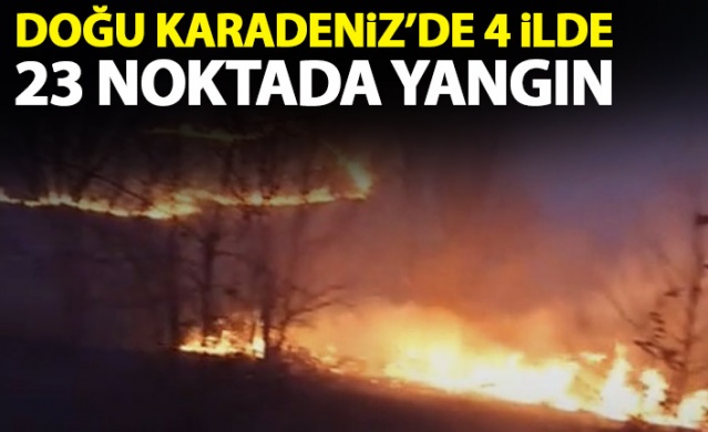 Doğu Karadeniz'de 4 ilde 23 noktada orman yangını 1