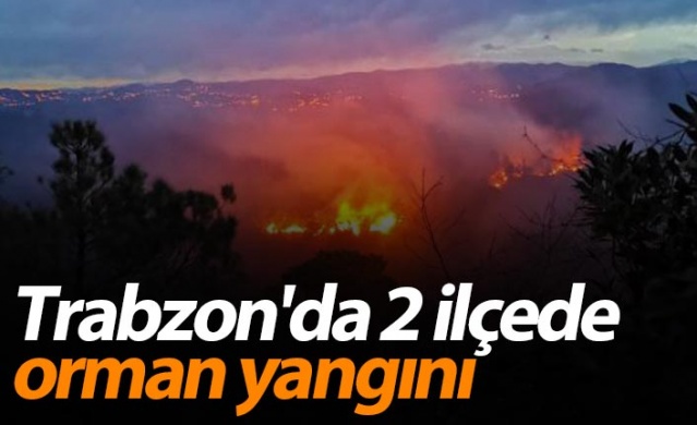 Trabzon'da 2 ilçede orman yangını 1