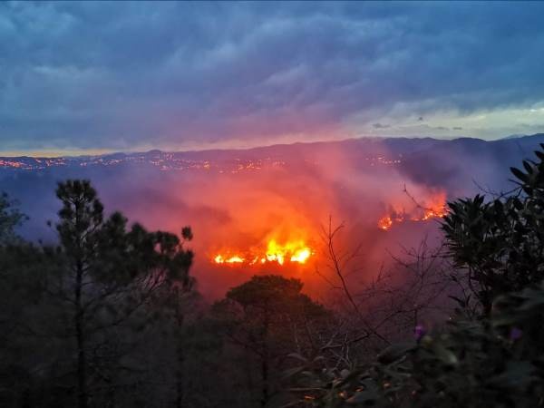 Trabzon'da 2 ilçede orman yangını 2