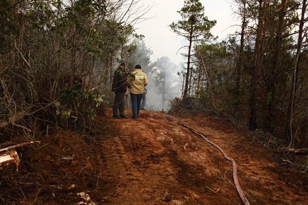 Trabzon'da 2 ilçede orman yangını 12