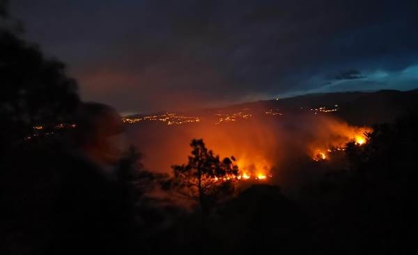 Trabzon'da 2 ilçede orman yangını 3