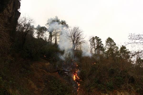 Trabzon'da 2 ilçede orman yangını 6
