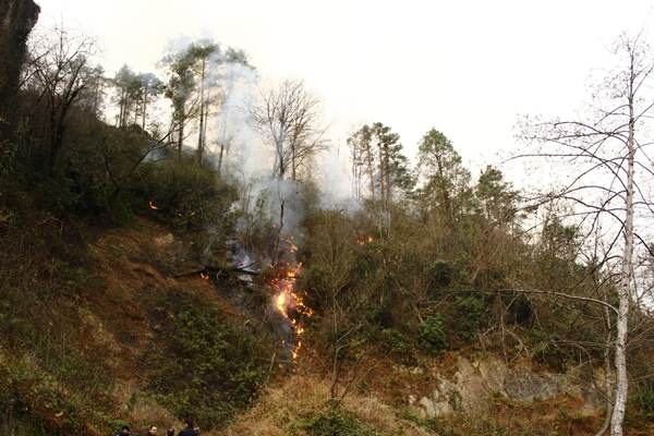 Trabzon'da 2 ilçede orman yangını 8