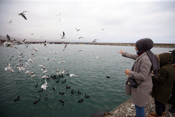 Trabzon'da balıkçılara rüzgar engeli 9