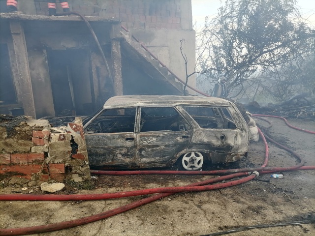 Trabzon'da ev yangınında hayvanlar telef oldu, 3 araç yandı 11