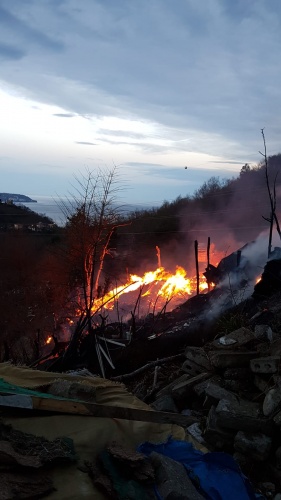 Trabzon'da ev yangınında hayvanlar telef oldu, 3 araç yandı 2