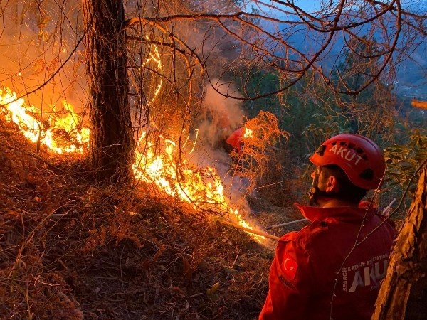 Doğu Karadeniz'de orman yangınları neden çıkıyor? 6