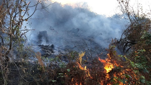 Doğu Karadeniz'de orman yangınları neden çıkıyor? 7