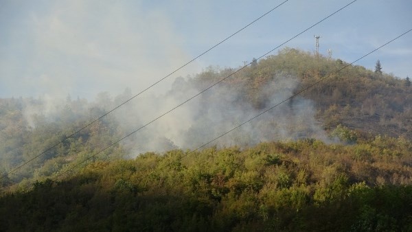 Doğu Karadeniz'de orman yangınları neden çıkıyor? 4