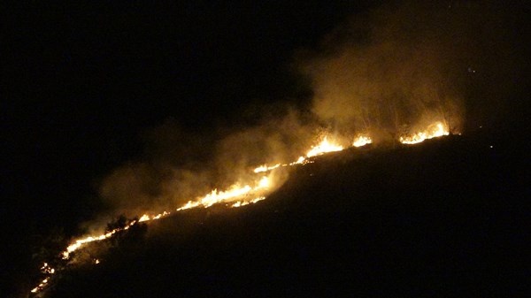 Doğu Karadeniz'de orman yangınları neden çıkıyor? 8