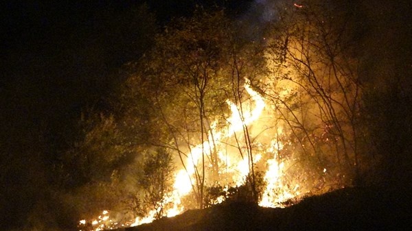 Doğu Karadeniz'de orman yangınları neden çıkıyor? 5