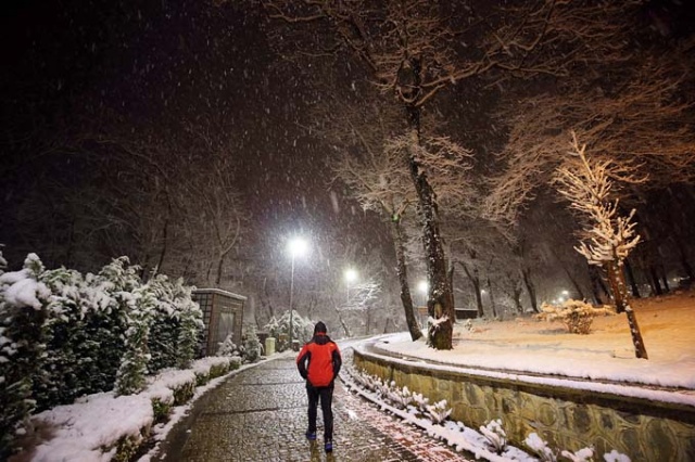 Trabzon'da kar yağışı etkili oluyor. 16 Şubat 2021 7
