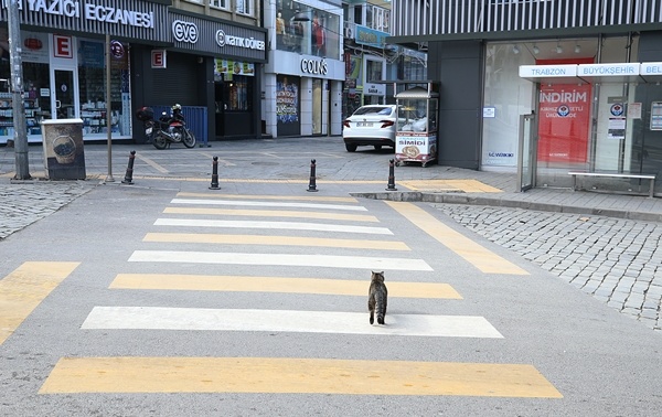 Trabzon sokaklarında kısıtlama sessizliği 7