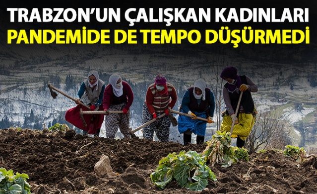 Trabzon'un çalışkan kadınları pandemide de tempo düşürmüyor 1