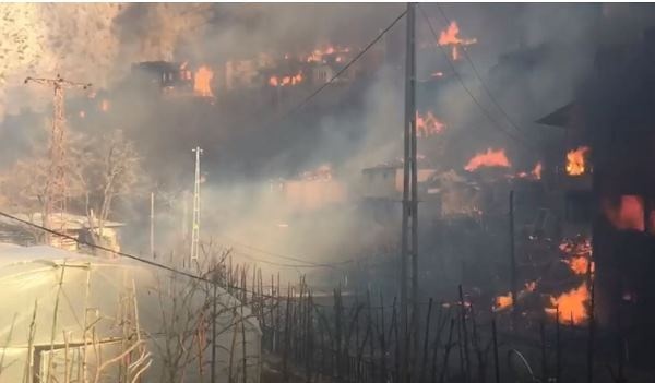 Artvin’de köyde yangın; 50’ye yakın ev alevlere teslim oldu 7