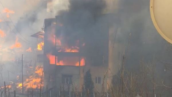 Artvin’de köyde yangın; 50’ye yakın ev alevlere teslim oldu 3