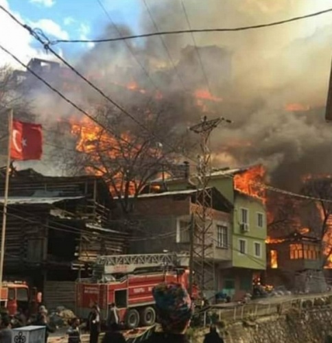 Artvin’de köyde yangın; 50’ye yakın ev alevlere teslim oldu 4