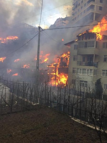 Artvin’de köyde yangın; 50’ye yakın ev alevlere teslim oldu 9